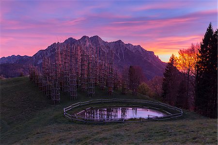 Autumnal sunset at the Cattedrale Vegetale monument at Plassa hamlet, Oltre il Colle, Val Serina, Bergamo district, Lombardy, Italy. Foto de stock - Con derechos protegidos, Código: 879-09129068