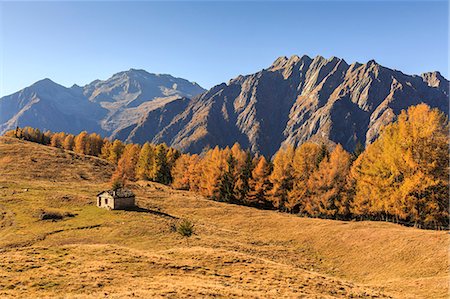 province of sondrio - Alpine landscape in autumn at Alpe Granda, Valtellina, province of Sondrio, Lombardy, Italy Photographie de stock - Rights-Managed, Code: 879-09129195