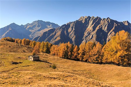 Alpine landscape in autumn at Alpe Granda, Valtellina, province of Sondrio, Lombardy, Italy Stock Photo - Rights-Managed, Code: 879-09129195