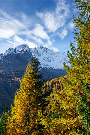 Mount Disgrazia in autumn season, Chiareggio, Valmalenco, Province of Sondrio, Lombardy, Italy Stock Photo - Rights-Managed, Code: 879-09188991