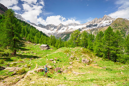 simsearch:879-09100329,k - Hiking at Alpe Sentieri, Mount Disgrazia Group, Chiareggio, Valmalenco, Province of Sondrio, Lombardy, Italy Fotografie stock - Rights-Managed, Codice: 879-09189007