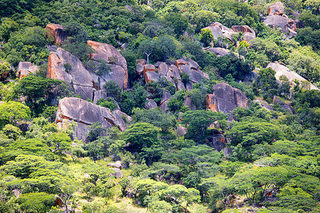 Africa,Malawi,Monkey bay district, Lake Malawi National park. Foto de stock - Con derechos protegidos, Código: 879-09189174