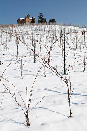 piedmont - Langhe, Cuneo district, Piedmont, Italy. Langhe wine region winter snow, Grinzane Cavour castle Foto de stock - Con derechos protegidos, Código: 879-09189386