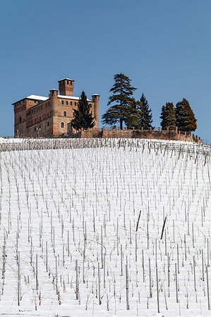 province of cuneo - Langhe, Cuneo district, Piedmont, Italy. Langhe wine region with winter snow, Grinzane Cavour castle Foto de stock - Con derechos protegidos, Código: 879-09189387