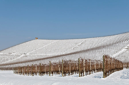 Langhe, Cuneo district, Piedmont, Italy. Langhe wine region winter snow, Fontanafredda Photographie de stock - Rights-Managed, Code: 879-09189383