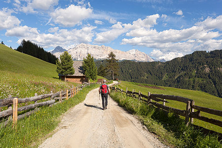 sasso di santa croce - Longiarù, San Martino in Badia, Badia Valley, Dolomites, Bolzano province, South Tyrol, Italy. A hiker in a footpath with Sasso della Croce in the background. Stock Photo - Rights-Managed, Code: 879-09189474