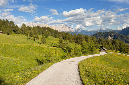 simsearch:879-09189491,k - Longiarù, San Martino in Badia, Badia Valley, Dolomites, Bolzano province, South Tyrol, Italy. A footpath with Sasso della Croce in the background. Stockbilder - Lizenzpflichtiges, Bildnummer: 879-09189479