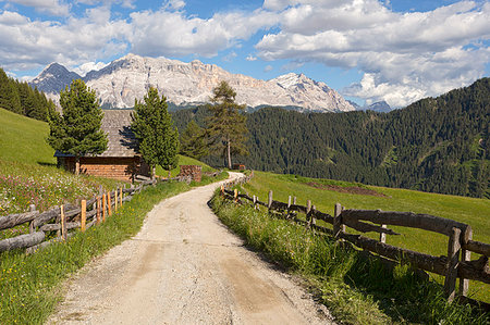 Longiarù, San Martino in Badia, Badia Valley, Dolomites, Bolzano province, South Tyrol, Italy. A footpath with Sasso della Croce in the background. Photographie de stock - Rights-Managed, Code: 879-09189472