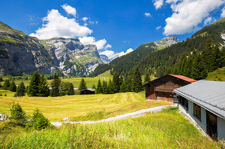 suizo (perteneciente a suiza) - Traditional huts in Val Bargis valley, Flims, District of Imboden, Canton of Grisons, Switzerland, Europe Foto de stock - Con derechos protegidos, Código: 879-09189718