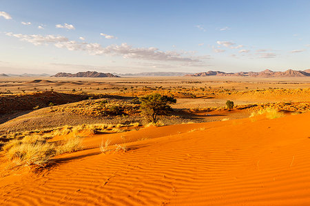 simsearch:862-06677169,k - The rippling red dunes of the world's oldest desert,Namib Naukluft National Park,Namibia,Africa Photographie de stock - Rights-Managed, Code: 879-09189785