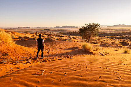 simsearch:862-06677169,k - Tourist admiring the sunrise over the rippling red dunes,Namib Naukluft National Park,Namibia,Africa Photographie de stock - Rights-Managed, Code: 879-09189788