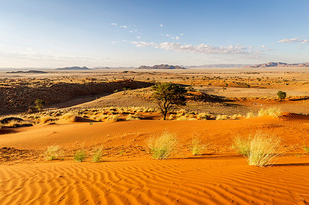 simsearch:879-09189809,k - The rippling red dunes of the world's oldest desert,Namib Naukluft National Park,Namibia,Africa Foto de stock - Direito Controlado, Número: 879-09189783