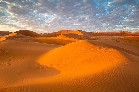 simsearch:879-09189777,k - Sossusvlei sand dunes at sunrise,Namib Naukluft national park,Namibia,Africa Foto de stock - Con derechos protegidos, Código: 879-09189811