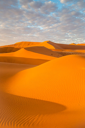 simsearch:862-06677169,k - Sossusvlei sand dunes at sunrise,Namib Naukluft national park,Namibia,Africa Photographie de stock - Rights-Managed, Code: 879-09189813