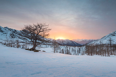 simsearch:879-09189661,k - Sunrise seen a little under Monscera pass, Bognanco Valley, Ossola, Piedmont, Italian alps, Italy Foto de stock - Con derechos protegidos, Código: 879-09189887