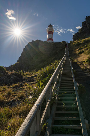 Steps to reach Cape Palliser lighthouse, Cape Palliser, Wellington region, North Island, New Zealand. Stock Photo - Rights-Managed, Code: 879-09189975