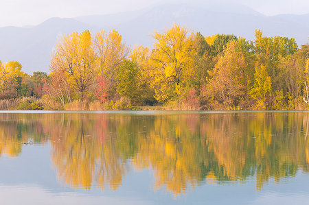 reflection - Torbiere del Sebino Natural Reserve, Iseo lake,Brescia province, Lombardia, Italy Stock Photo - Rights-Managed, Code: 879-09190163