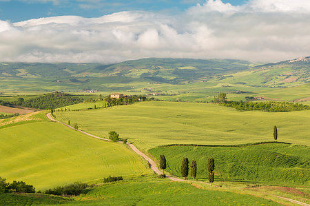 A pathway across the rolling hills in Orcia valley, Siena province, Tuscany, Italy Stock Photo - Rights-Managed, Code: 879-09190179