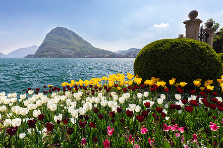 View of blooming flowerbed at Parco Ciani lakefront in Lugano city on a spring day, Canton Ticino, Switzerland. Stockbilder - Lizenzpflichtiges, Bildnummer: 879-09190498