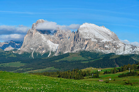 plattkofel - Sasso Lungo and Sasso Piatto from Alpe di Siusi, Dolomiti, Trentino Alto Adige, Italy,Europe Stockbilder - Lizenzpflichtiges, Bildnummer: 879-09190636