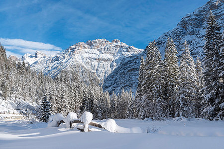 simsearch:879-09129076,k - Carbonin / Schluderbach, Dobbiaco / Toblach, Dolomites, province of Bolzano, South Tyrol, Italy, Europe. The peaks of Mount Rudo Foto de stock - Con derechos protegidos, Código: 879-09190646
