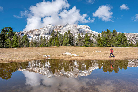 simsearch:879-09189694,k - Prato Piazza/Plätzwiese, Dolomites, South Tyrol, Italy. The Croda Rossa d'Ampezzo is reflected in a pool on the Prato Piazza Foto de stock - Con derechos protegidos, Código: 879-09190704