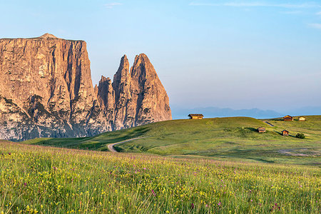 simsearch:879-09100699,k - Alpe di Siusi/Seiser Alm, Dolomites, South Tyrol, Italy. Sunrise on the Alpe di Siusi/Seiser Alm. In the background the peaks of Euringer and Santner Foto de stock - Con derechos protegidos, Código: 879-09190736