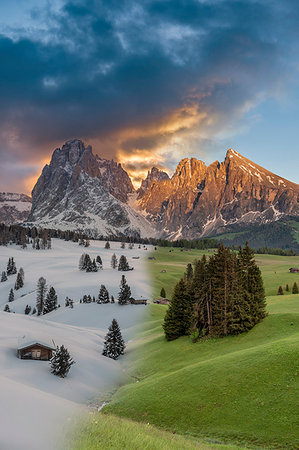 Alpe di Siusi/Seiser Alm, Dolomites, South Tyrol, Italy. A winter-to-summer photomontage of the Alpe di Siusi. In the background the peaks Sassolungo/Langkofel and Sassopiatto/Plattkofel Photographie de stock - Rights-Managed, Code: 879-09190739