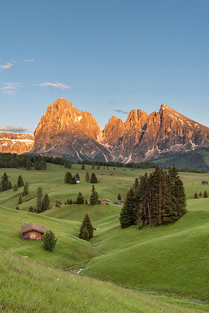 simsearch:879-09190765,k - Alpe di Siusi/Seiser Alm, Dolomites, South Tyrol, Italy. Sunset on the Alpe di Siusi/Seiser Alm with the peaks of Sassolungo and Sassopiatto Foto de stock - Con derechos protegidos, Código: 879-09190787