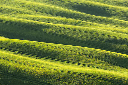 simsearch:879-09043759,k - San Quirico d'Orcia,Val d'Orcia,Tuscany,Italy. Foto de stock - Con derechos protegidos, Código: 879-09190869