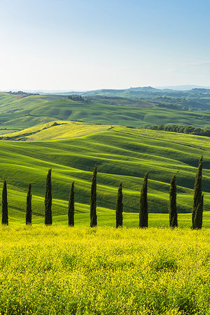 simsearch:879-09190870,k - San Quirico d'Orcia,Val d'Orcia,Tuscany,Italy. Stockbilder - Lizenzpflichtiges, Bildnummer: 879-09190870