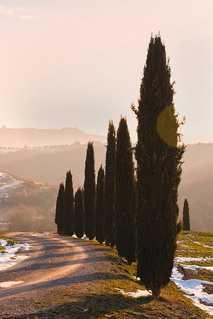 simsearch:879-09190872,k - Orccia valley in winter season, Tuscany, Siena province, Italy, Europe. Photographie de stock - Rights-Managed, Code: 879-09190918