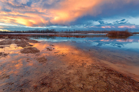 sun set - Po river park, Alessandria province, Piedmont, Italy, Europe. Photographie de stock - Rights-Managed, Code: 879-09190970