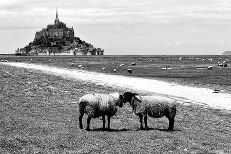 Le Mont Saint Michel, Normandy, France. Stock Photo - Rights-Managed, Code: 879-09190983