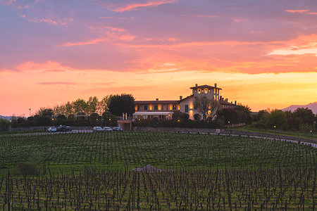 Franciacorta at sunset, Lombardy district, Brescia province, Italy Photographie de stock - Rights-Managed, Code: 879-09191008