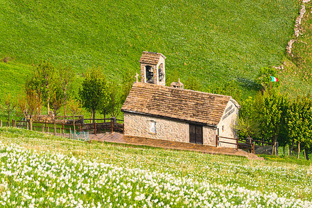 daffodil and landscape - Mount Linzone, Orobie alps, Lombardy district, Bergamo province, Italy Stock Photo - Rights-Managed, Code: 879-09191022