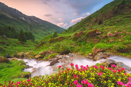 Sunrise in Stelvio national park, Brescia province, Lombardy district, Italy, Europe Foto de stock - Con derechos protegidos, Código: 879-09191082