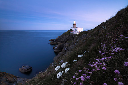 Wild flowers with Baily Lighthouse in the background, Howth, County Dublin, Ireland Stock Photo - Rights-Managed, Code: 879-09191203