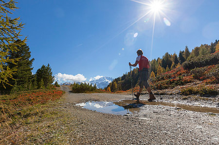 simsearch:879-09100419,k - Hiker on footpath, Val Vezzola, Valdidentro, Valtellina, Sondrio province, Lombardy, Italy Stockbilder - Lizenzpflichtiges, Bildnummer: 879-09191280