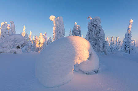 simsearch:879-09021193,k - Shapes of frozen trees, Riisitunturi National Park, Posio, Lapland, Finland Stockbilder - Lizenzpflichtiges, Bildnummer: 879-09191342