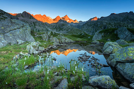 flowers and sunrise - Cornisello mountain at sunrise Europe, Italy, Trentino, Nambrone Valley, Sant'Antonio of Mavignola Stock Photo - Rights-Managed, Code: 879-09191591