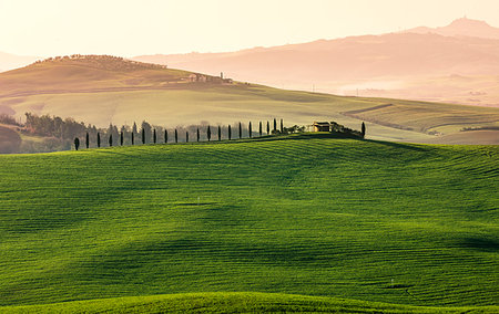 simsearch:6129-09044120,k - Val d'Orcia, Tuscany, Italy Photographie de stock - Rights-Managed, Code: 879-09191720