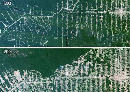 simsearch:872-08082719,k - Deforestation, Mato Grosso, Brazil, True Colour Satellite Image. True colour satellite image showing deforestation in progress between 1992 and 2001 in Amazonia in the State of Mato Grosso, using LANDSAT data. Foto de stock - Con derechos protegidos, Código: 872-06052976