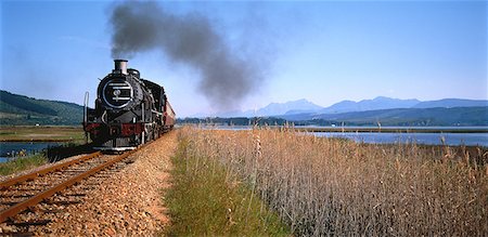 Outeniqua Choo Choo Wildnisgebiet, Garden Route Western Cape, Südafrika Stockbilder - Lizenzpflichtiges, Bildnummer: 873-06440216