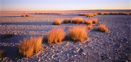 desert at dusk - Magkadikadi Pan Botswana Foto de stock - Con derechos protegidos, Código: 873-06440213