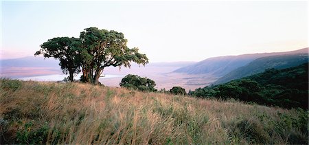 Countryside Tanzania Stock Photo - Rights-Managed, Code: 873-06440248