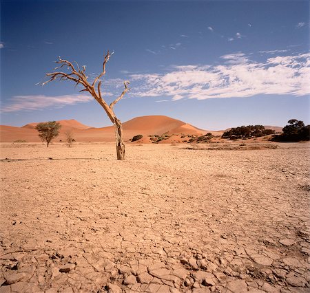 desastre natural - Desert Sossusvlei, Namib Desert Namibia Foto de stock - Con derechos protegidos, Código: 873-06440277