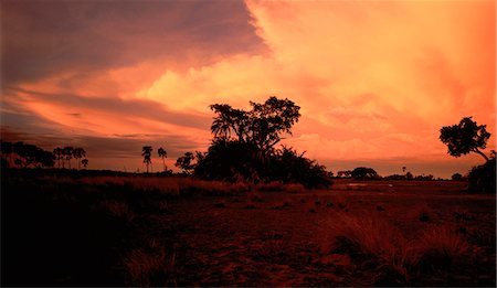 simsearch:873-06440226,k - Silhouette der Landschaft bei Sonnenuntergang Okavango, Botswana Stockbilder - Lizenzpflichtiges, Bildnummer: 873-06440284