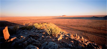 plantas do deserto - Desert Kakamas, Northern Cape South Africa Foto de stock - Direito Controlado, Número: 873-06440287