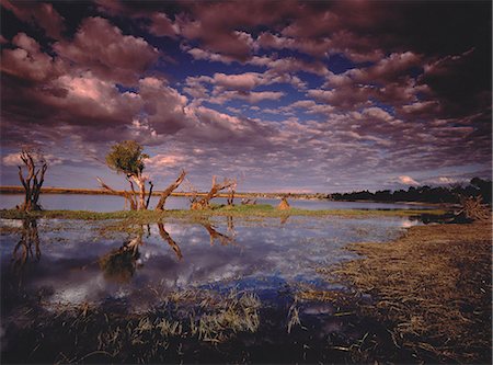 río chobe - Chobe River and Cloudy Sky Botswana, South Africa Foto de stock - Con derechos protegidos, Código: 873-06440351